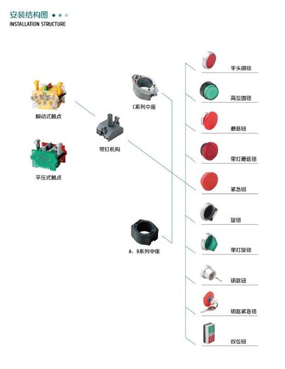 裁剪（552X716）愛可信